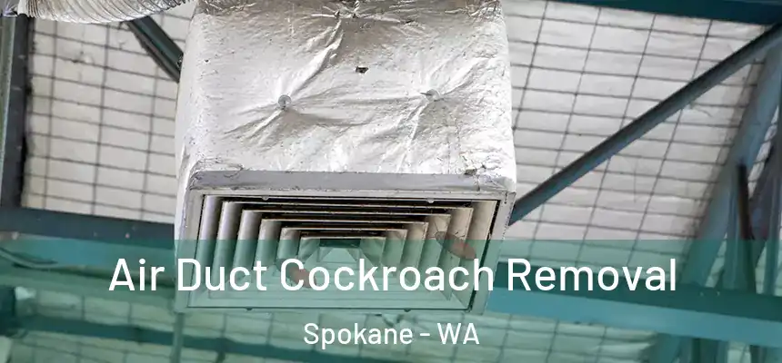 Air Duct Cockroach Removal Spokane - WA