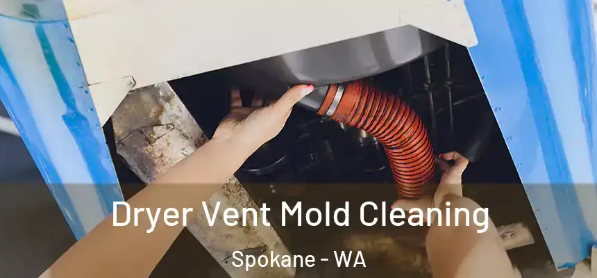 Dryer Vent Mold Cleaning Spokane - WA