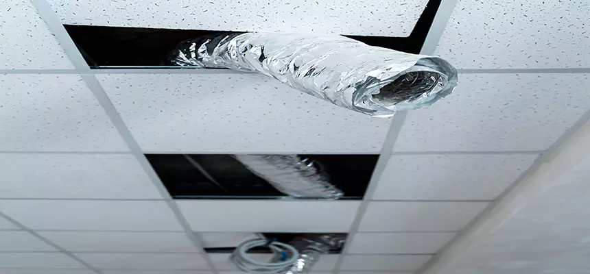 Our Air Duct Pet Hair Removal Services in Spokane, WA