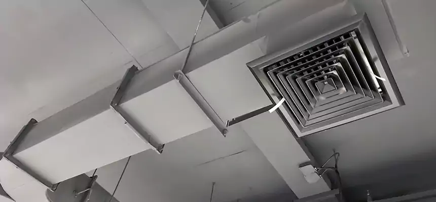 Restorative Allergy Relief Vent Cleaning – Coil, Blower & Housing Detail in Spokane