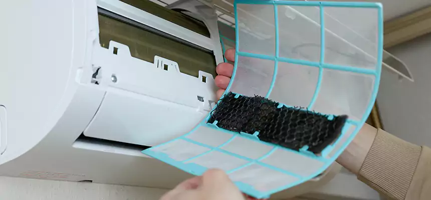 Gentle Ductwork Odor-Control Pet Dander Duct Cleaning in Spokane, WA