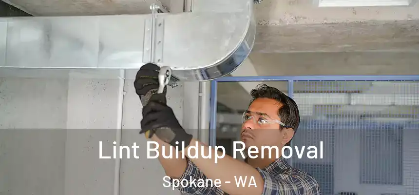 Lint Buildup Removal Spokane - WA