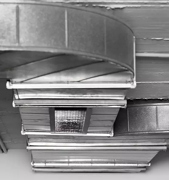 Professional Air Duct Pest Removal in Spokane, WA