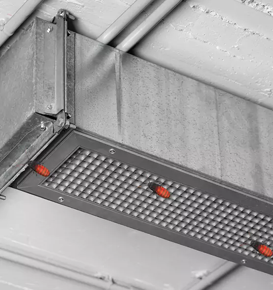 Affordable Insect Removal from Air Ducts in Spokane, WA