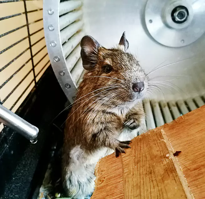 Why Homeowners & Businesses Trust Us Spokane, WA?